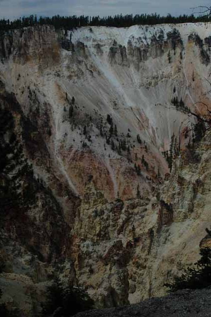 the canyon wall
